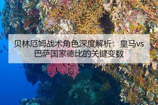 bei-lin-e-mu-zhan-shu-jue-se-shen-du-jie-xi-huang-ma-ba-sa-guo-jia-de-bi-de-guan-jian-bian-shu-2-643.jpg