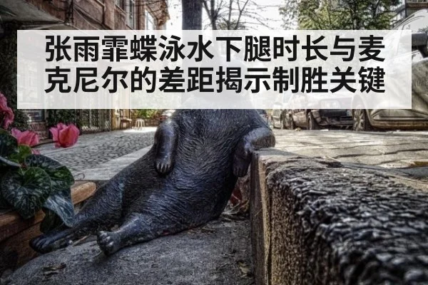 张雨霏蝶泳水下腿时长与麦克尼尔的差距揭示制胜关键