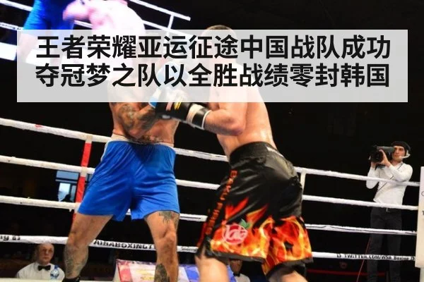 王者荣耀亚运征途中国战队成功夺冠梦之队以全胜战绩零封韩国